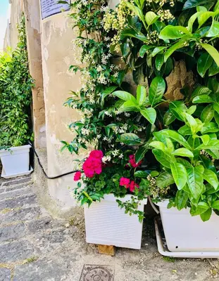 Giardino di A casa da Anita