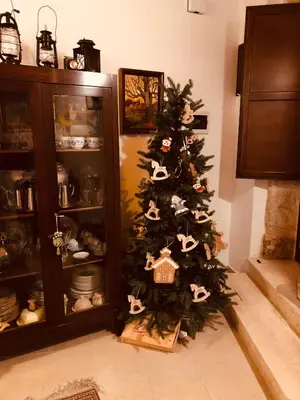 Planimetria di A casa da Anita