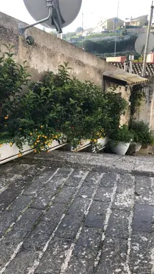Planimetria di A casa da Anita