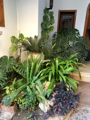 Giardino di ArtRoom Garden