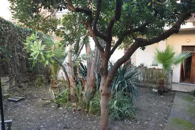 Giardino di ArtRoom Garden