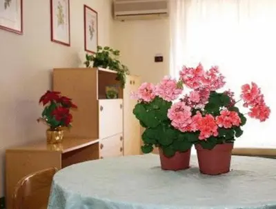 Planimetria di Residence Royal