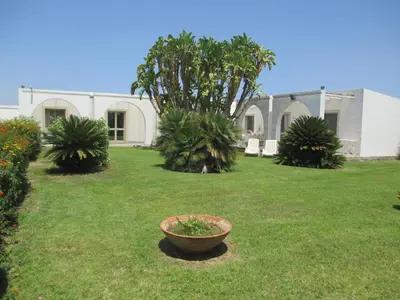 Giardino di Cuore Di Palme
