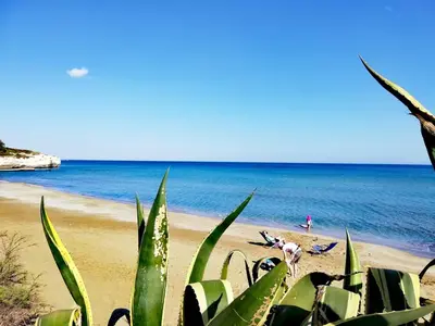 Paesaggio naturale nelle vicinanze della casa vacanze