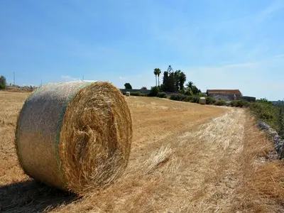 Planimetria di Antica Dimora San Filippo