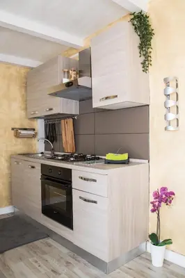 Cucina o angolo cottura di cucaracha