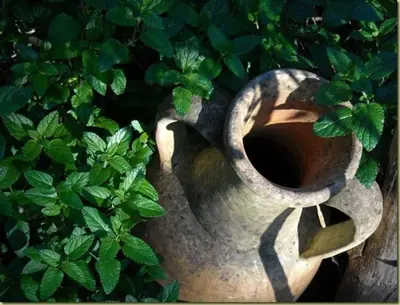 Giardino di Il Paradiso Sul Mare