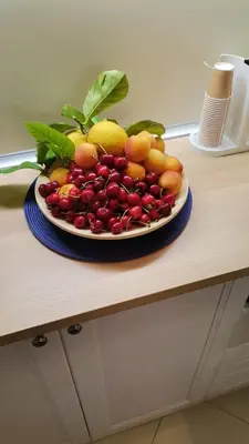 Cibo presso l'appartamento o nelle vicinanze