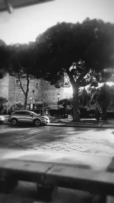 Planimetria di La finestra sul Castello