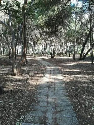 Paesaggio naturale nelle vicinanze dell'appartamento