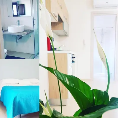 Planimetria di Scuto Home