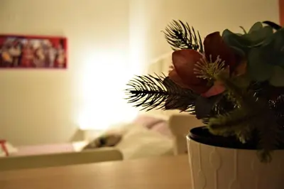 Planimetria di IL MORO holiday home