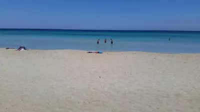 Spiaggia vicina o nei dintorni dell'appartamento