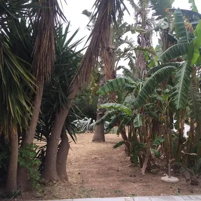 Giardino di Appartamentino con veranda in Villa fronte mare