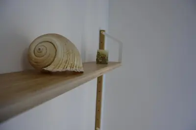 Planimetria di 