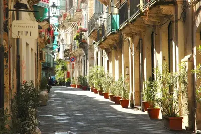 Il quartiere o una zona nella vicinanze dell'appartamento
