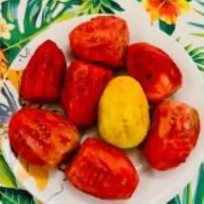 Cibo presso l'appartamento o nelle vicinanze
