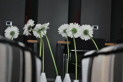 Planimetria di B&B Habita