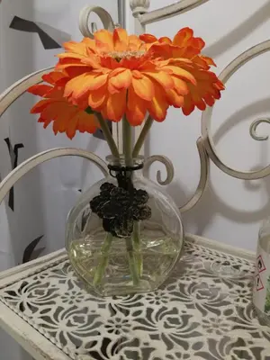 Planimetria di Casa Elena