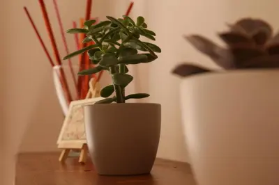 Planimetria di Casa Elena