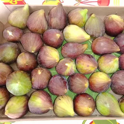 Cibo presso la casa vacanze o nelle vicinanze
