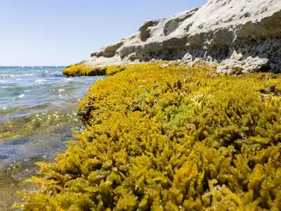 Paesaggio naturale nelle vicinanze della casa vacanze