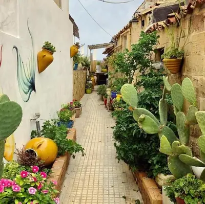Giardino di Casa Maritrì Locazione Turistica
