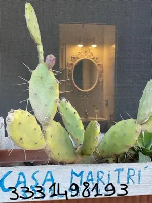 Planimetria di Casa Maritrì Locazione Turistica