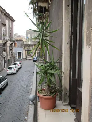 Il quartiere o una zona nella vicinanze dell'affittacamere