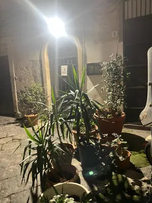 Giardino di La Petite Suite