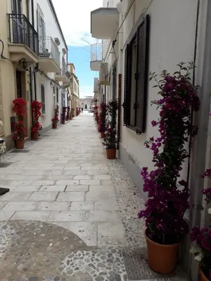 Il quartiere o una zona nella vicinanze dell'affittacamere