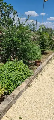 Giardino di Heron House Appartaments