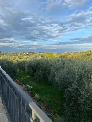 Paesaggio naturale nelle vicinanze dell'appartamento