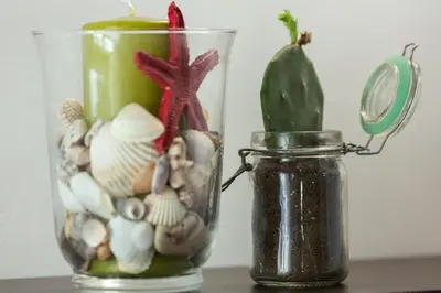 Cibo presso l'appartamento o nelle vicinanze