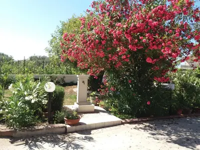 Giardino di Appartamento Acacia