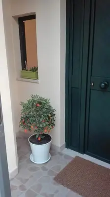 Planimetria di Il Cancelletto