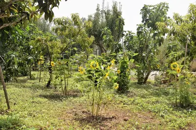 Giardino di Casa le Gebbie