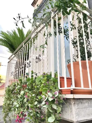 Balcone o terrazza di Giader's House - Free Parking