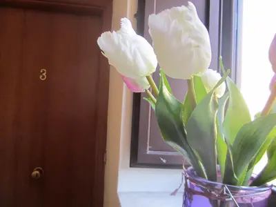 Planimetria di Bed & Breakfast Hostel H24