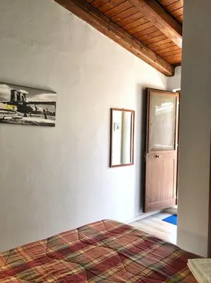 Planimetria di Populus
