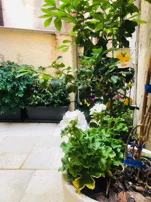 Giardino di Area 2