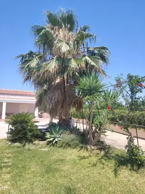 Giardino di VILLA L&M
