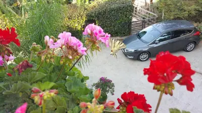 Giardino di villa xenia
