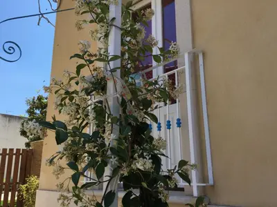 Planimetria di U' Iazzu