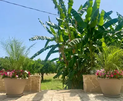 Giardino di B&B Le Balate