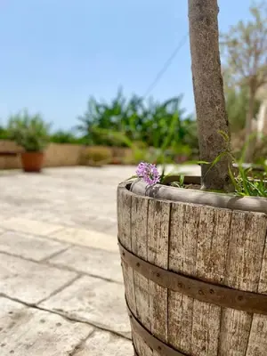 Planimetria di B&B Le Balate