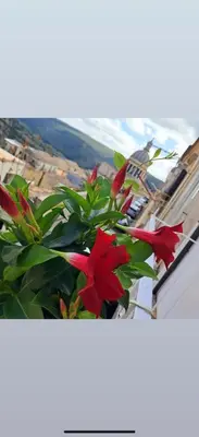 Paesaggio naturale nelle vicinanze dell'affittacamere
