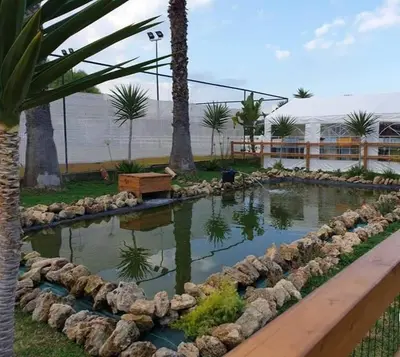 Giardino di Casa vacanze Barbera con piscina