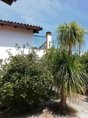 Giardino di Casa Gelsomino