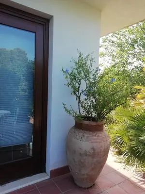 Giardino di Casa Gelsomino